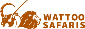 Wattoo Safaris